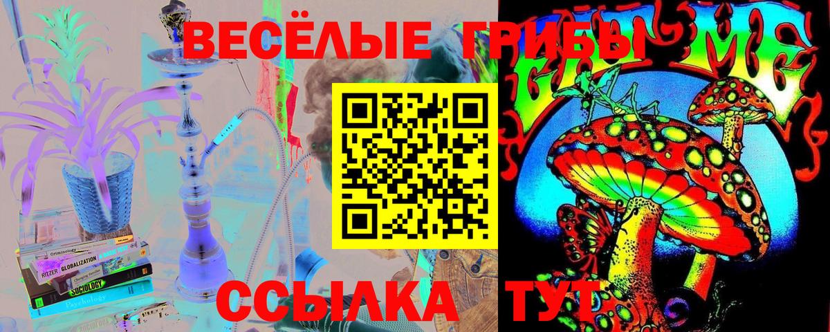Галлюциногенные грибы Magic Shrooms Ревда
